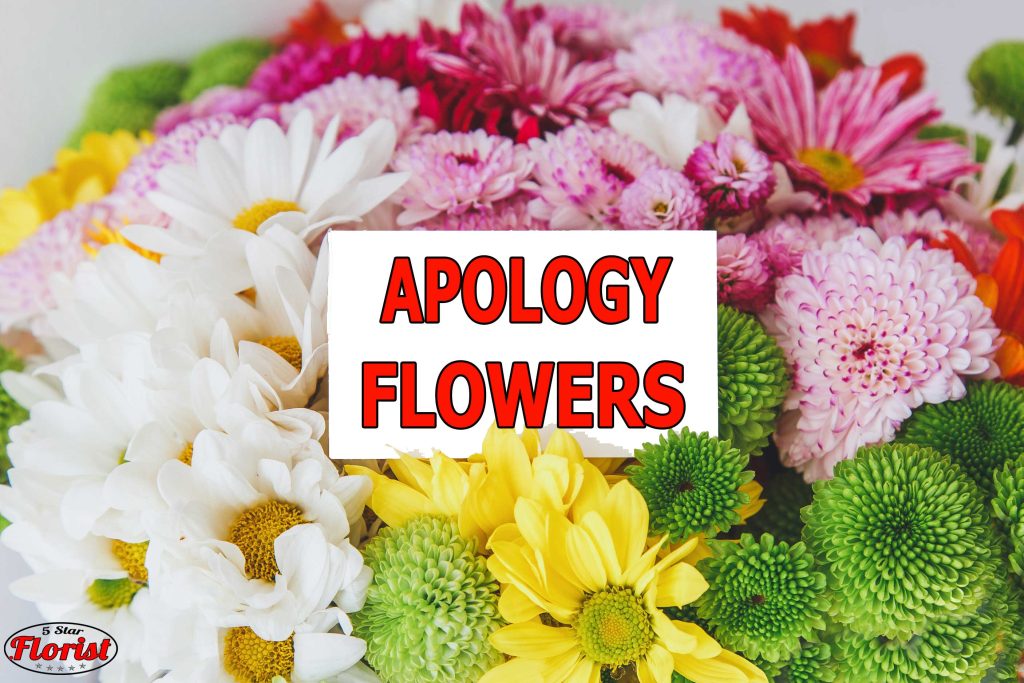 apology flowers Detroit